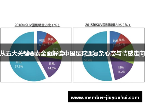 从五大关键要素全面解读中国足球迷复杂心态与情感走向