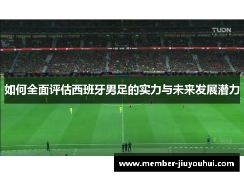 如何全面评估西班牙男足的实力与未来发展潜力