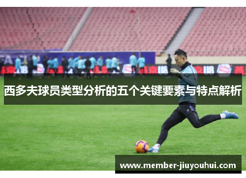 西多夫球员类型分析的五个关键要素与特点解析