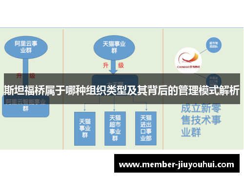 斯坦福桥属于哪种组织类型及其背后的管理模式解析