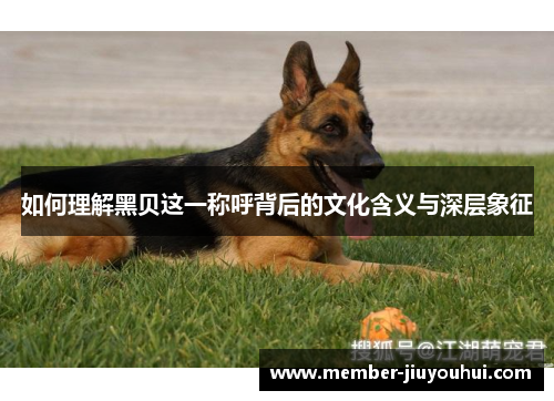 如何理解黑贝这一称呼背后的文化含义与深层象征