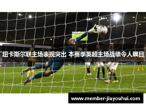 纽卡斯尔联主场表现突出 本赛季英超主场战绩令人瞩目 纽卡斯尔联主场表现突出 本赛季英超主场战绩令人瞩目