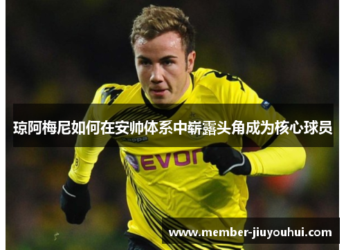 琼阿梅尼如何在安帅体系中崭露头角成为核心球员 琼阿梅尼如何在安帅体系中崭露头角成为核心球员